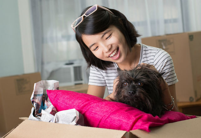 how to declutter for CNY FAST, 5 steps to decluttering your home for Chinese New Year